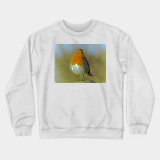 ROBIN REDBREAST Crewneck Sweatshirt